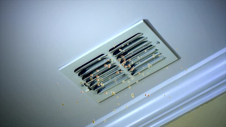 Best Air Duct Cleaning Near Me  in Pinecrest, FL